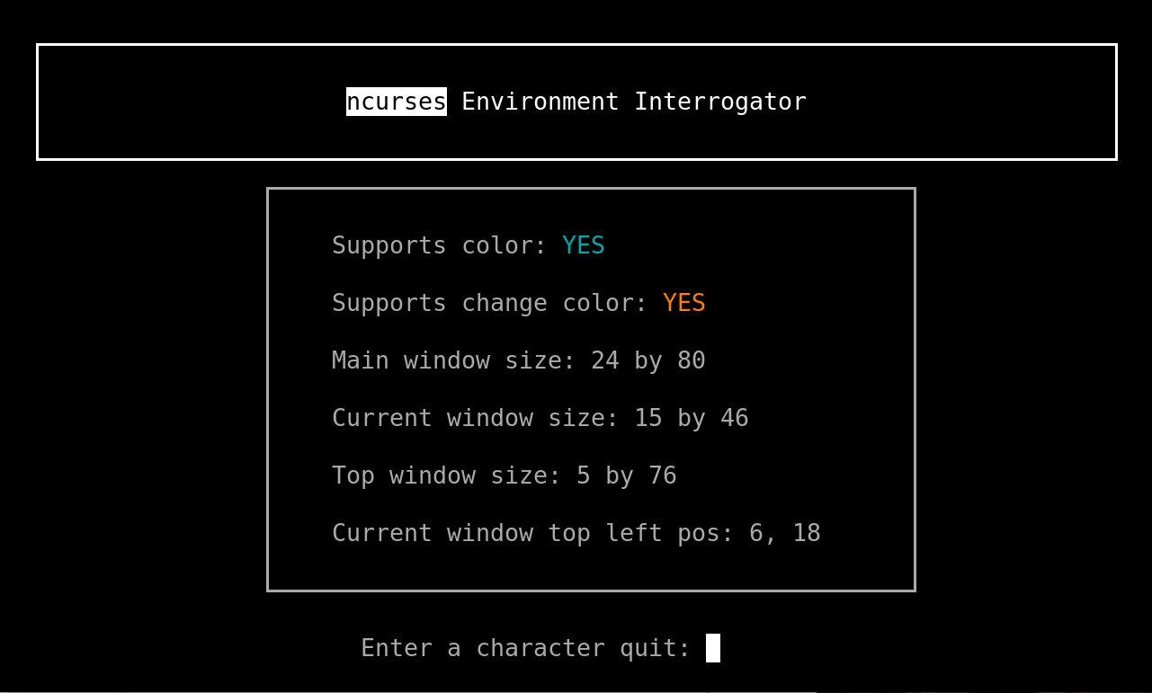 interrogate_env screenshot